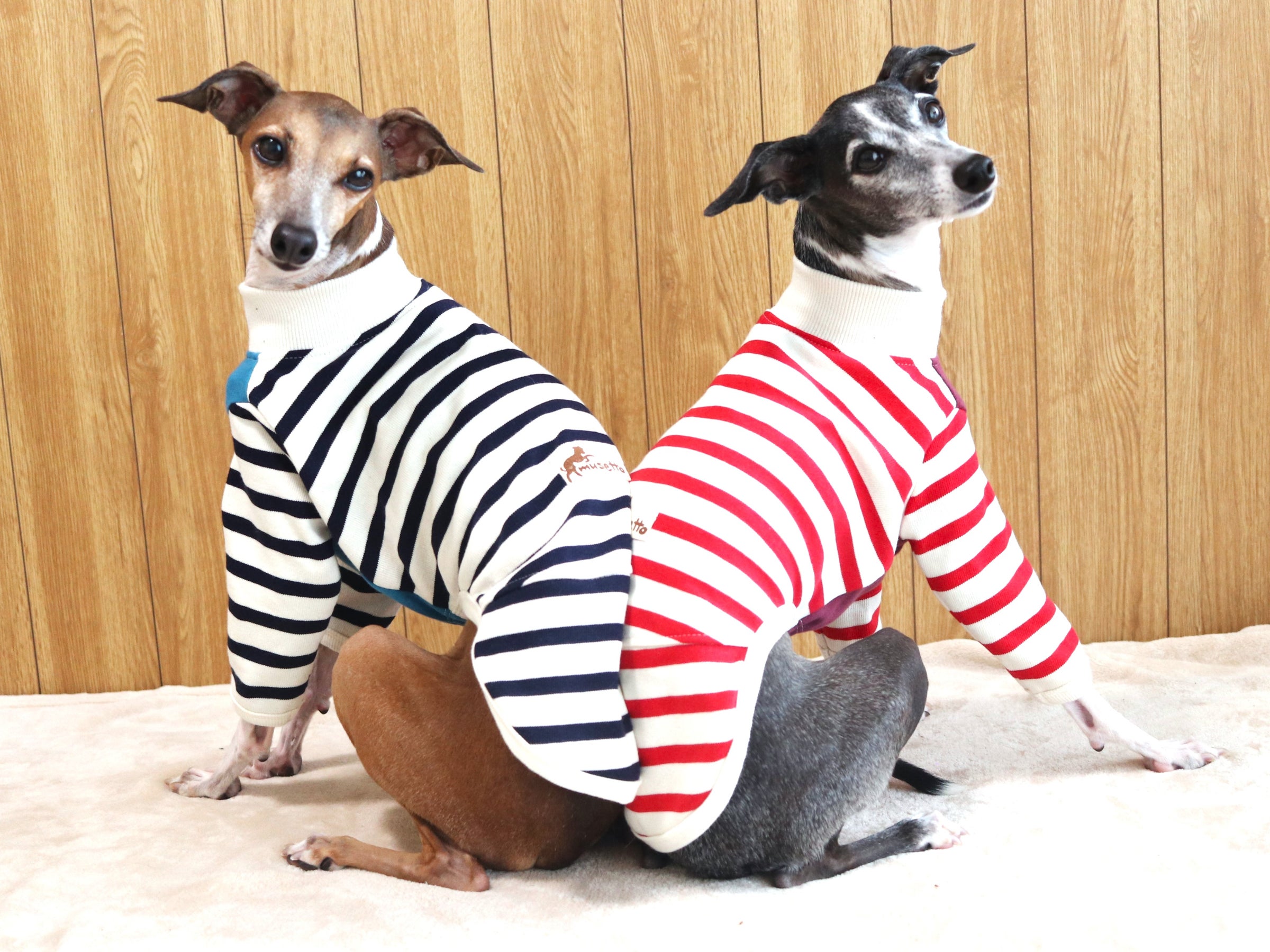 イタグレ服　パフスリーブワンピース Puff Sleeve Sailor Collar One Piece/パフスリーブセーラー